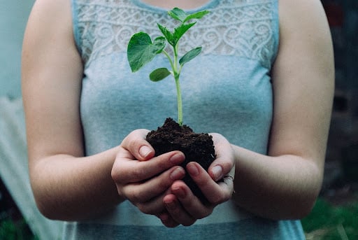 One Tree Planted: Dedicated to Global Reforestation