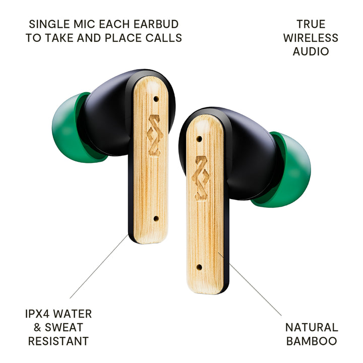 Signature Black | Little Bird True Wireless Earbuds