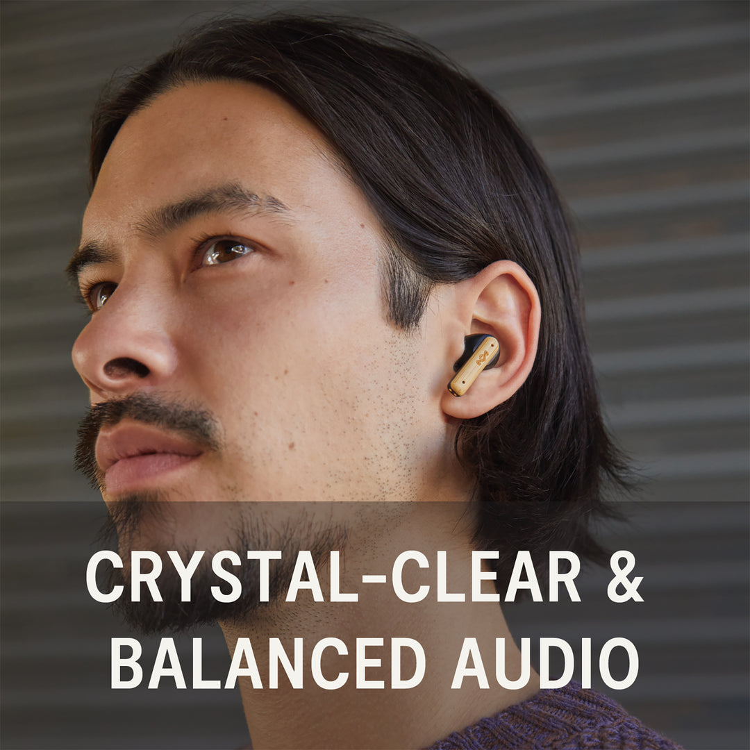 Signature Black | Little Bird True Wireless Earbuds